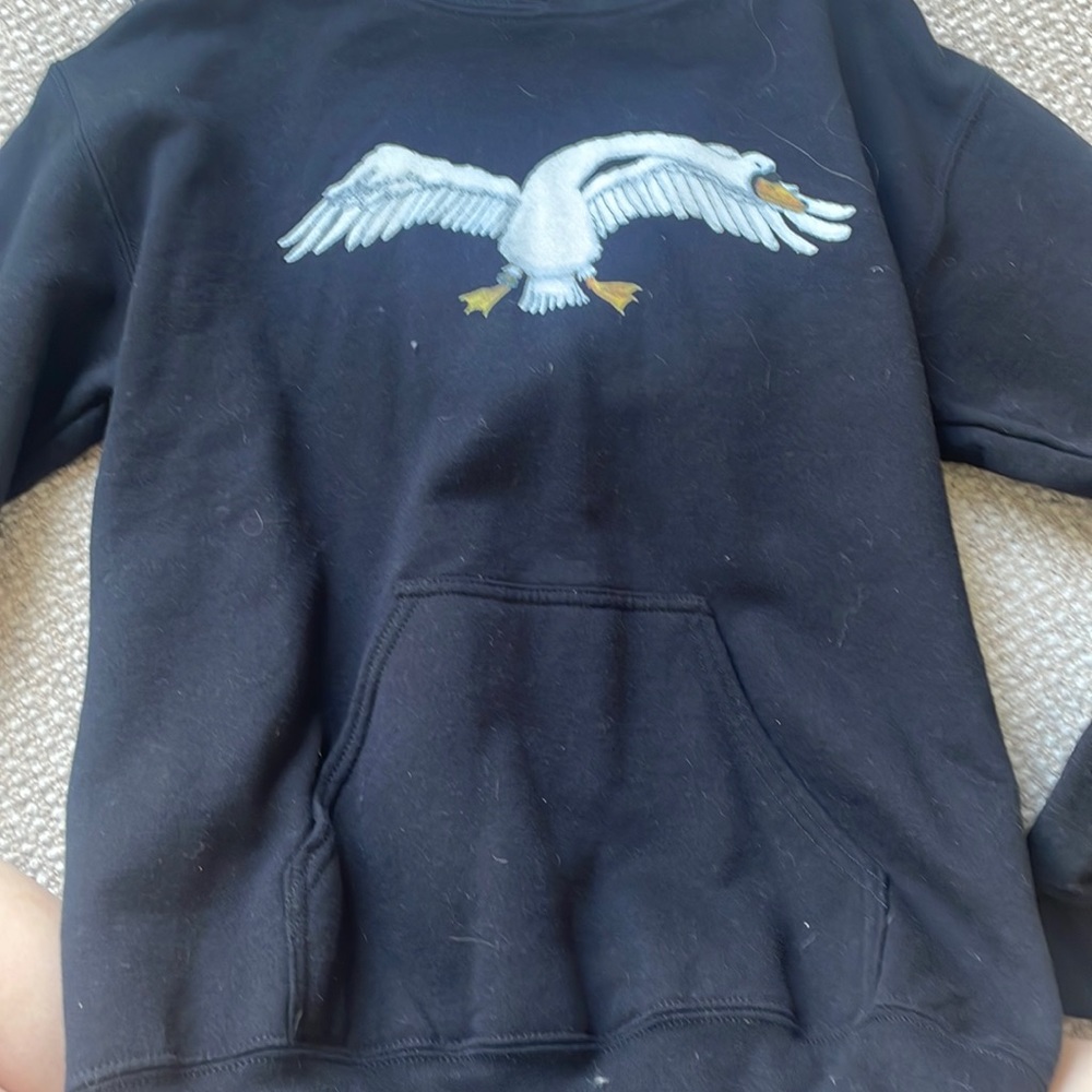 Black Swanfest Hoodie